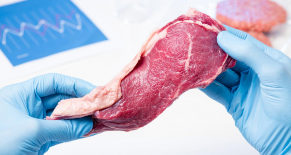 В Кокшетау ветеринарные врачи брали взятки от поставщиков мяса